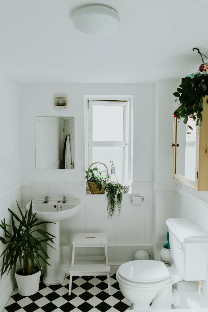 Clean bathroom with plants in window